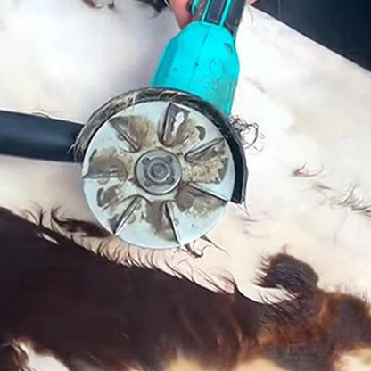 🔥Disco Raspador de Pelo de Cerdo